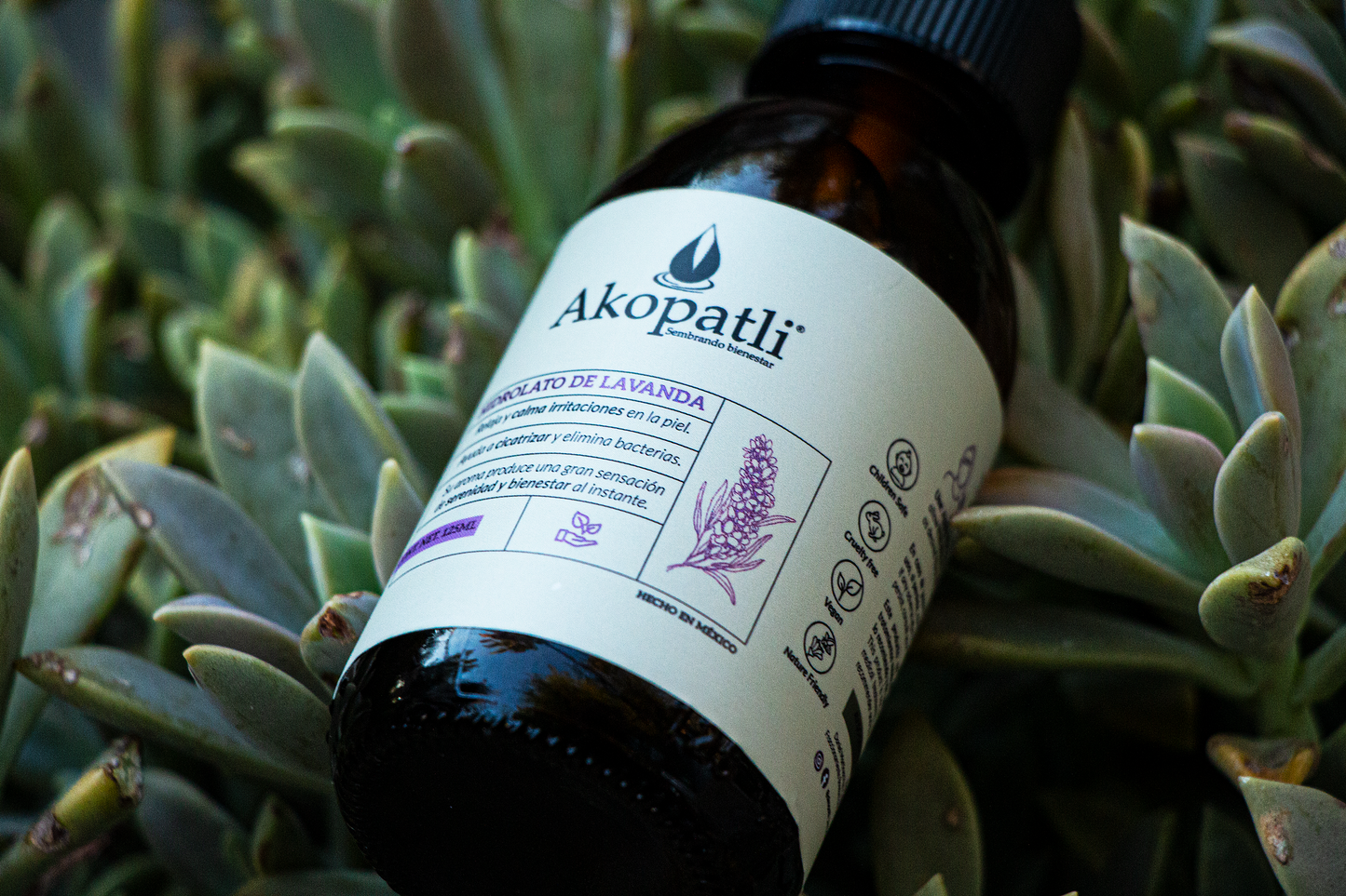 Hidrolato de Lavanda