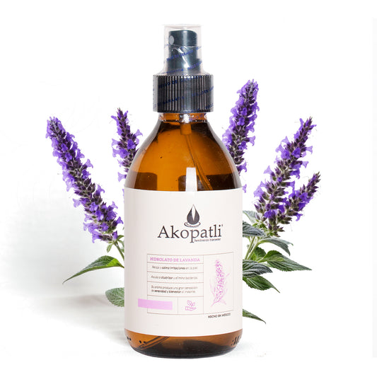 Hidrolato de Lavanda